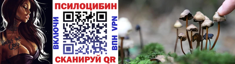 Галлюциногенные грибы мицелий  Медногорск 